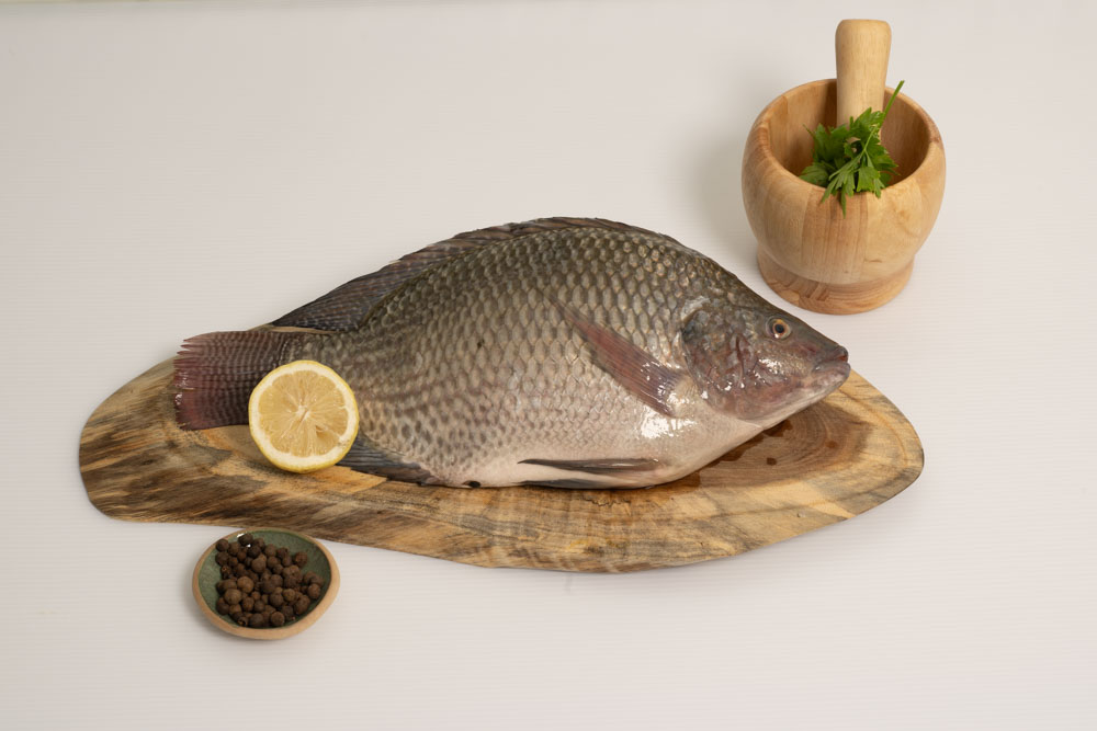 אמנון (מושט)