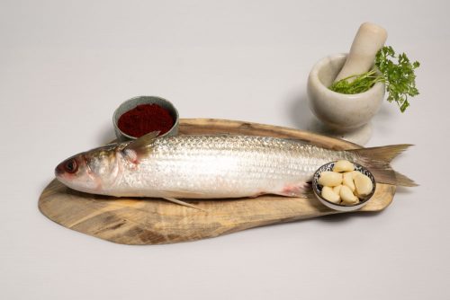 בורי בריכה כ- 1 ק״ג