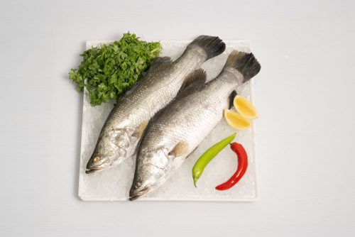 ברמונדי כ- 1 ק״ג