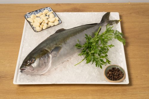 האמצ׳י (1.5 ועד 3 ק״ג)