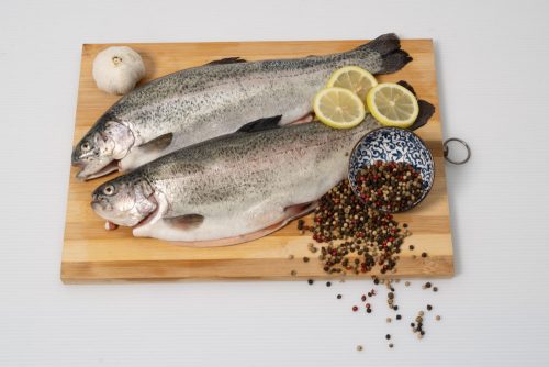 פורל כ- 600 גרם