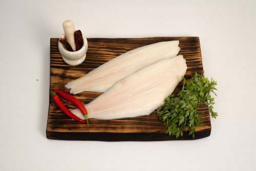 פילה הליבוט טרי