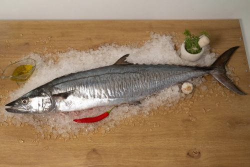 פלמידה לבנה (1 ועד 5 ק״ג)