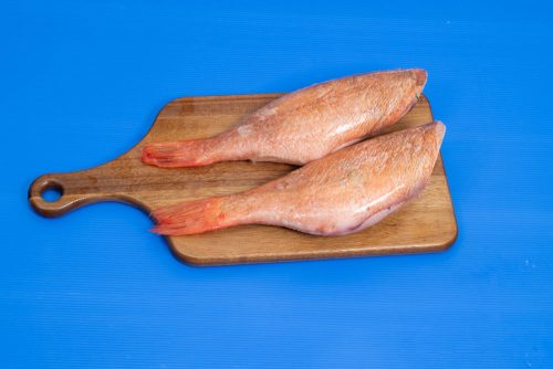 רוטבש(דג אדום)